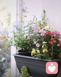 拼命對一個人好，怕做錯一點對方就不喜歡你，這不是愛，而是取悅。
學會愛自己。配圖