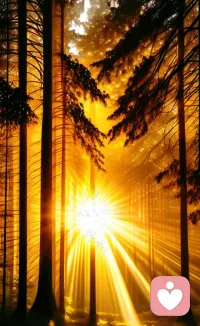 凡是從天上掉的餡餅，99%都有毒，誰都不敢保證自己不會上當受騙，要想減少受騙機會，不用多聰明，只要少點占便宜心理，就能識破杜絕80%以上的騙局。配圖