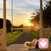 王小波曾写道:那一天我二十一岁 在我一生的黄金时代 我有好多奢望 我想爱 想吃 还想在一瞬间变成天上半明半暗的云。
后来我才知道 生活就是个缓慢被锤的过程 人一天天老下去奢望也一天天消失 生活的琐碎渐渐磨平了棱角 但希望我们能依旧保持温热感 在每一个平凡的日子里闪闪发光。配图