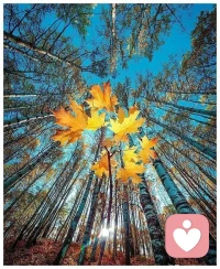 李安說
這世界上唯一扛得住歲月摧殘的就是才華。配圖