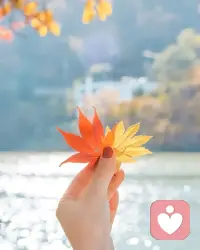 当体会不到爱的时候，人就会在关系中争高低。配图