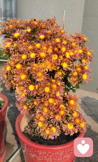 真正的爱
包括适当的拒绝、及时的赞美、得体的批评、
恰当的争论、必要的鼓励、温柔的安慰和有效的敦促。

——斯科特·派克《少有人走的路》配图