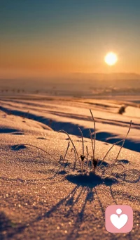 有没有正经，想聊个天的。😊配图