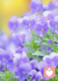 一个人在一生中会扮演很多角色，只有在爱的人面前才想做自己，她还能闹，说明你很重要，好好享受她跟你吵跟你闹，粘着你的时刻，因为那个时候的她，最在乎你，你最在乎的那个人还在你身边吗？配图