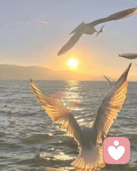 別活得太復雜
-
開心了就笑，累了配圖