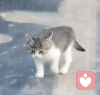 要努力，但別著急，繁花人生路很長，似錦，碩果累累，都需要過程，畢竟播種和收獲不在一個季節。慢慢來，你又不差配圖