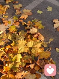 接受自己的普通
-
然后拼盡全力去與眾不同配圖