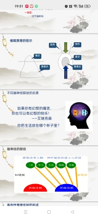 不是要遠離所有煩惱的困擾，而是聚焦于眼前的日常生活，讓精神需求與物質(zhì)世界自然融合。配圖