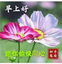 無論多高的山，多長的路，都敵不過你一步一個腳印的堅持。只要試著擺正心態，踏實下來，試著把困難分成一個個小小的部分，然后挨個去擊破，時間到了，就總會到達的。早安！? ?配圖