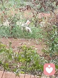 改變自己最快的方式，
就是做你害怕的事。
                   榮格配圖