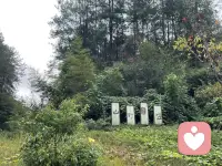 心安理得就好，自己的生活自己做主，不要輕易搖擺幽怨，那樣容易撕碎你。配圖