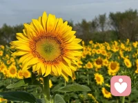 不跨越別人的界限，也守住自己的邊界。配圖