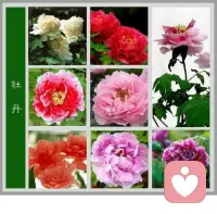 #越放松越有力量，#越安靜越有氣場。
#不與他人爭高低，#一生之敵是自己。配圖