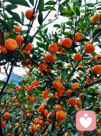 別人指責你，并不代表你很弱，反而體現(xiàn)別人很弱。配圖