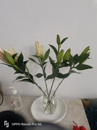 愛不是尋找完美的人，而是學(xué)會用完美的眼光，欣賞那個不完美卻真誠的人。配圖