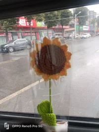 .一個人能夠接受的事情越多，越是自由。每一種難以接受，都是給自己豎起一道墻。墻豎的多了，不是迷宮就是牢籠。配圖