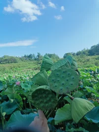 繁华三千，看淡即是浮云；烦恼无数，想开就是晴天。路是自己选的，没有输赢，只有值不值得，任何经历过的事情，不是得到就是学到。