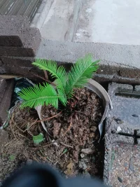 看问题不能少了一个重要的维度，就是_变化。