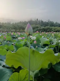 有一天，我用你對我的方式對你，很奇怪，你居然生氣了。