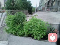 執行力就是跳過情緒直接做事。你不開始，是因為你在等“正確”的時機，可真相是，做了，才會遇到正確。行動是拆穿腦內謊言、擊破人生困境的唯一武器。配圖