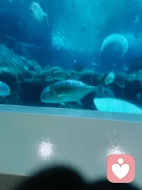•对自己温柔些，你既是自己最严厉的评判者，也理应成为最坚定的支持者。