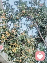 心理学有个《聚光灯效应》，总觉得自己的小失误被全世界盯着，其实别人的注意力都在自己身上，放轻松点，你没那么多观众，大胆做自己就好。