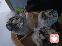 首先自己要理解自己，當(dāng)自己能夠理解自己的時候，對別人是否理解你就不那么重要了。因為任何關(guān)系，都是自己與自己的關(guān)系。希望別人能理解你，利益高于價值觀。在利益和價值觀上面沒有共同的交集，那就不可能有理解。