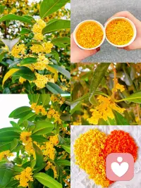 當你覺得自己破碎不堪時，請記住，即便是星星，也要在黑暗中才能被看見。配圖