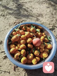 恐懼感，是野蠻的祝福！
是靈魂的煉金術！
本來無一物，何處被物困！