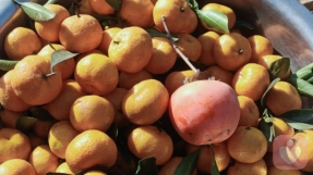 越讨好，越被讨厌：当“善意”成为一种负担