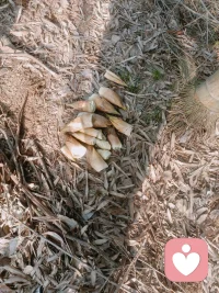 原谅不是为了别人，而是解放自己。怨恨让身体陷在生存模式，放下才能真正疗愈。你的平静，始于内心的和解。配图