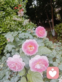 如果走错了路，导航会给你重新规划路线，重新出发，及时止损，你可以回头看，但不能回头走，因为逆行全责！