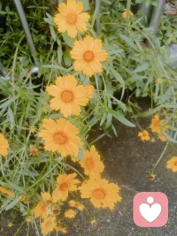 🌞 早安
清晨的风轻轻吹过
新的一天慢慢开启
不慌不忙，不追不赶
保持温柔，保持热爱
愿你今天平安顺遂
眼里有光，心中有暖。