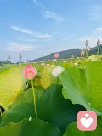 如果很难改变自己，审视过去的自己也能让你换个活法。配图