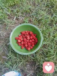 不要在乎人家怎么看你，因为你在别人世界没有那么重要，别人在你世界也没有那么重要。你来这个世界，你在世界就在，你走世界就没了。所以要开开心心过好每一天。配图