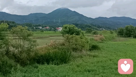 你本来，就很好