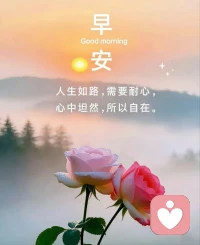 心理成长的目标，是从不得不穿著厚重的铠甲（原始防御），进化到能够根据天气自由穿脱衣物（成熟防御）。