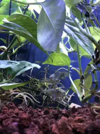 當你的內心感覺很無助很孤獨，感覺沒有人能理解你，沒有人能關心你時，
告訴自己：“沒關系，此刻我允許自己先停下來，我允許自己哭一哭，我允許自己傷心難過。我允許自己跟隨自己的心做此刻想做的事。”配圖