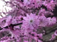 不肯原諒和不可原諒是兩碼事。
當(dāng)事情不可原諒，那么責(zé)任不在自己，而不肯原諒的責(zé)任則要由自己來承擔(dān)，因?yàn)槭悄阕约壕芙^原諒的。
當(dāng)‘責(zé)備結(jié)束，責(zé)任顯現(xiàn)，方能開始治療’。配圖