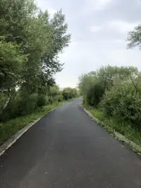 有拼搏精神的人才能堅強，有決心的人才能保持心靈純凈，永不放棄，拼搏到底，永不屈服。配圖