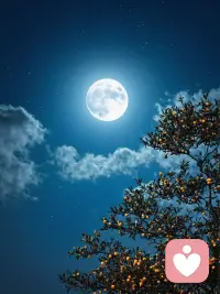 面对一个很装的人，你会表现出什么样的反应？愤怒，厌烦，还是轻蔑？
那个装的人在用夸大表现自卑
而烦的人在用愤怒捍卫自尊。
但真正的强大不是凌驾于谁之上，
而是你站在自己的高度时，
既能平时别人的炫耀，
又能拥抱自己的平凡！配图