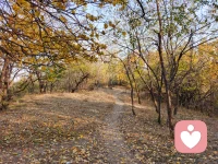 生氣是用別人的錯(cuò)誤懲罰自己，病痛是怒氣發(fā)泄于身體上的累積。安穩(wěn)健康的活著并不難，只要足夠想要且唯一想要，然而大多數(shù)時(shí)候，我們的潛意識(shí)都更想要證明別人多么可惡，以及自己如此弱小可憐。 ???配圖