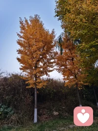 我們原以為對于過往的一些事不想太多不計較會失去別人的敬畏，失去別人的尊重，其實試過才知道，活在當下的平安中，只會失去壓力和痛苦，失去無謂的消耗。 ???配圖