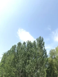 “快樂是當下的體驗，可是我們卻習慣了，為了一個遙遠而模糊的未來，放棄明天，放棄當下”~配圖