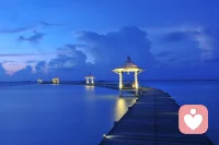 所有的人終將以自己的一種方式離開這個世界，我選擇原諒了所有傷害，睡前原諒一切，醒來不問過往。遇見是因為有債要還，離開是因為還清了。配圖