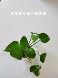 最有效的教育方式是愛與合理的要求，父母需要接受孩子，深沉的愛著孩子，參與孩子的生活與成長。配圖