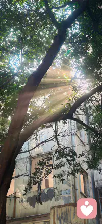 不管你走了多少步，一小步也是值得的一步，寫給三分鐘熱度的你。配圖