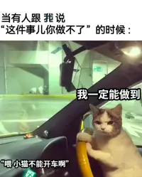 我知道我是為何而活。配圖