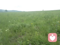 其實是你的情緒進入了死胡同，而不是人生進入了死胡同配圖