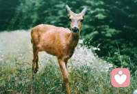 這段話真好。
?弘一法師談釋懷：
“任何關系走到最后，不過是相識一場，有心者必有所累，無心者亦無所謂，情出自愿，不談虧欠。
人生如夢，夢卻不隨人愿，人到了一定的年齡，就會發現，萬般皆是命，半點不由人。
有些人，光是遇見，已經是上上簽了，不是永遠在一起，才算好結局。
當你什么都經歷的時候，才會發現，人生無論你怎么精心策劃，都抵不過一場命運的安排。
人生不過三萬天，借副皮囊而已，空空來，空空去，何必執念？百年后，既無我，也無你。
折磨你的，從來不是任何人的情緒，而是你心存幻想的期待，世間萬物都在治愈你，可唯獨你自己，不肯放過你自己”。配圖